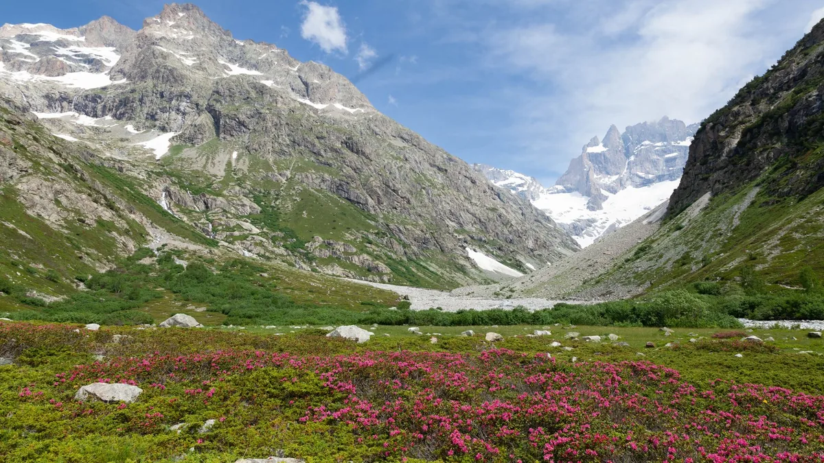 Scenic view of Saint-Christophe-en-Oisans with vibrant flora and snowcapped mountains.